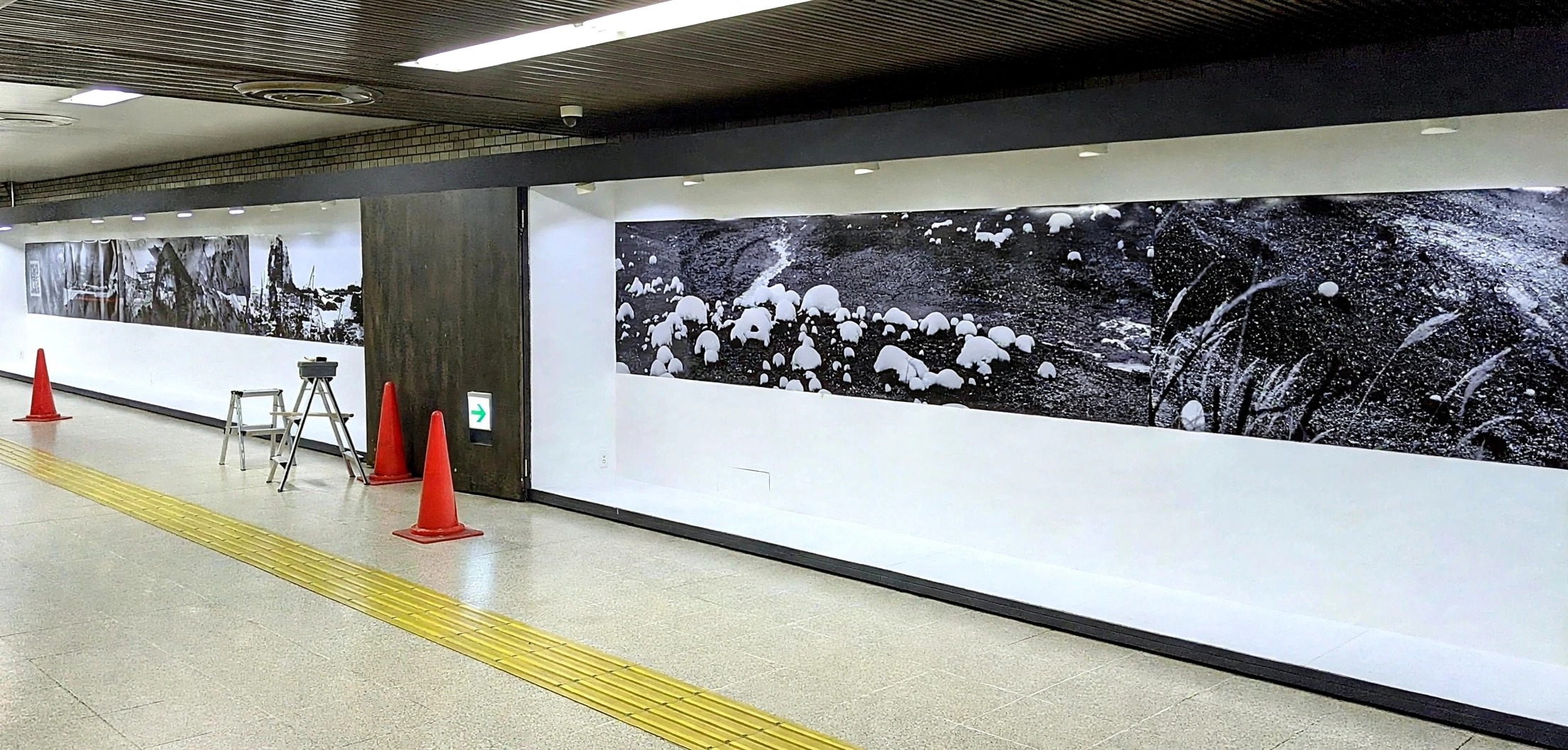 A long black-and-white photographic landscape being installed behind glass in Sapporo’s underground walkway